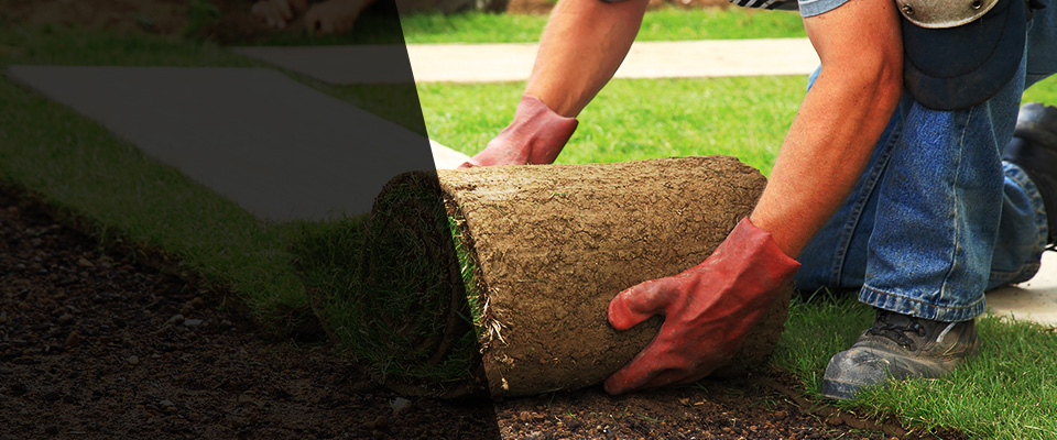 Sardinia Landscapers